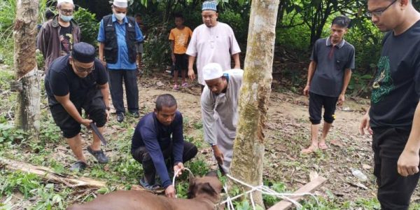 penghayatan-qurban-sempena-aidil-adha-1443h-koa-pian-1